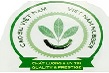 Nhãn hiệu “Cao su Việt Nam” được bảo hộ quốc tế